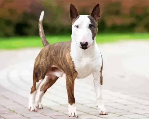 Brown Bull Terrier At Beach Paint by Number