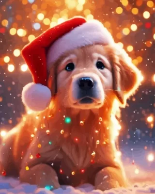 Christmas Golden Retriever Paint by Number