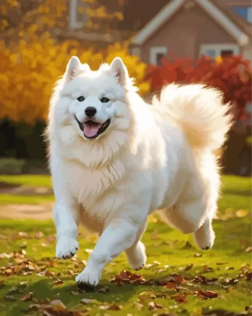 Happy Japanese Spitz Paint by Number