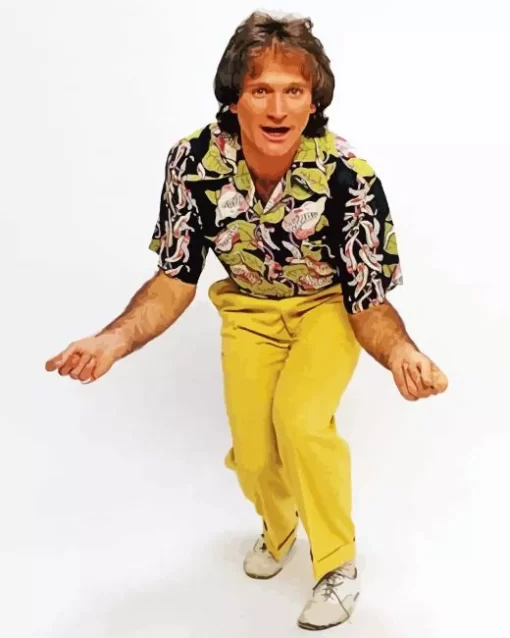 Robin Williams Actor Paint by Number
