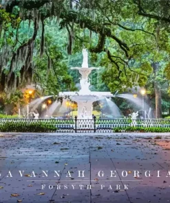 Forsyth Park Poster Paint by Numbers