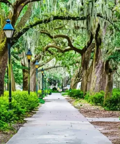 Forsyth Park Trees Paint by Numbers