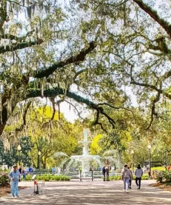 Forsyth Park with Large Trees Paint by Numbers