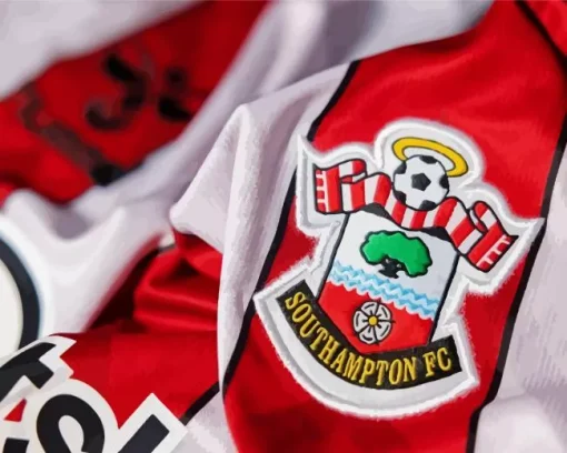 Southampton FC Paint by Numbers