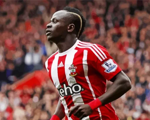 Sadio Mane Paint by Numbers
