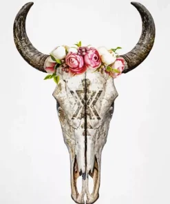 Cow Skull Paint by Numbers