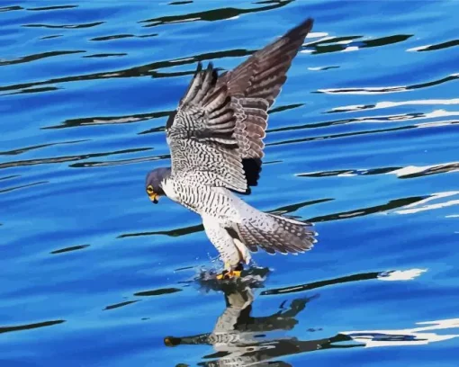 Peregrine Falcon Flying Over Sea Paint by Numbers