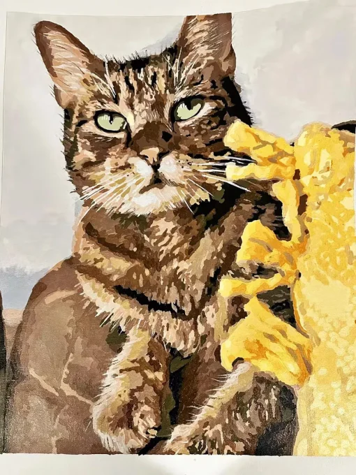 Custom Pet Paint By Numbers 15