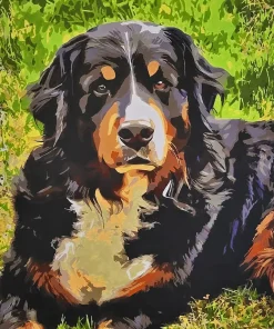 Custom Pet Paint by Numbers 11