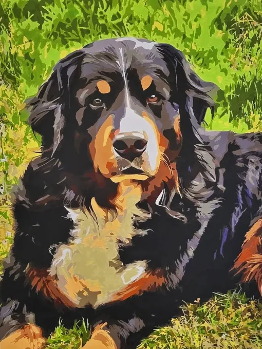 Custom Pet Paint by Numbers 11