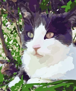 Custom Pet Paint by Numbers 2