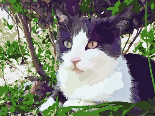 Custom Pet Paint by Numbers 2