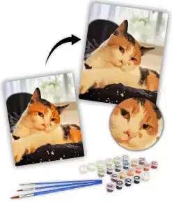 Custom Pet Paint by Numbers
