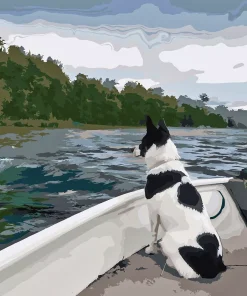 Custom Pet Paint by Numbers 3