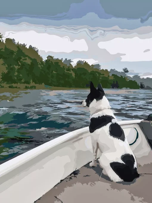 Custom Pet Paint by Numbers 3