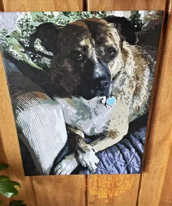 Custom Pet Paint by Numbers 4