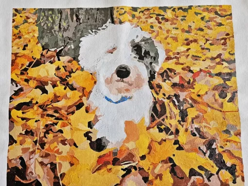 Custom Pet Paint by Numbers 5