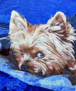 Custom Pet Paint by Numbers 6