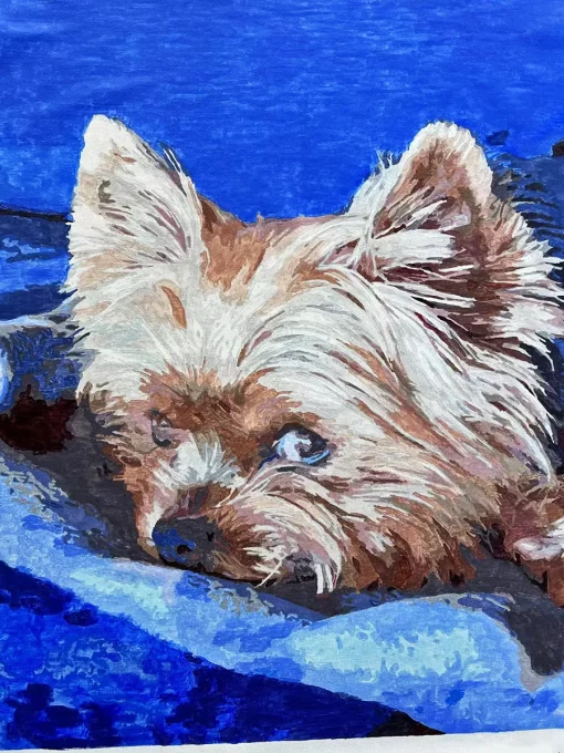 Custom Pet Paint by Numbers 6