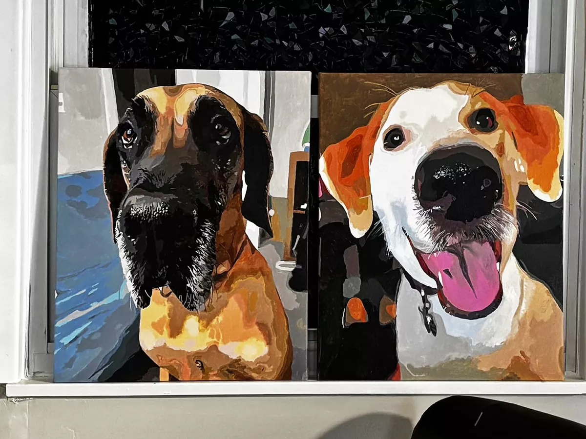 Custom pet review 1
