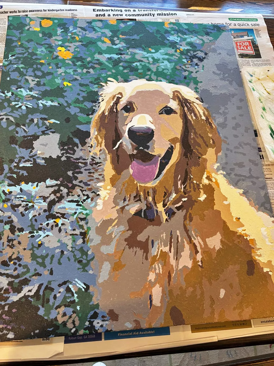 Custom pet review 3