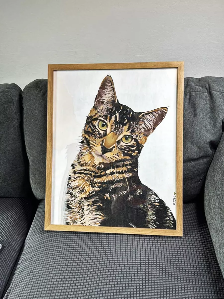 Custom pet review 4