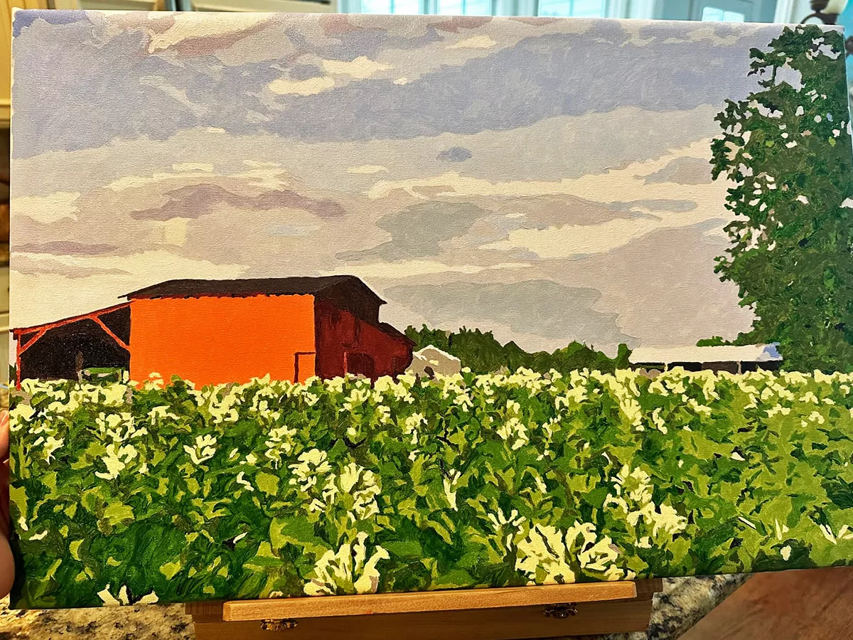 custom landscape review 2