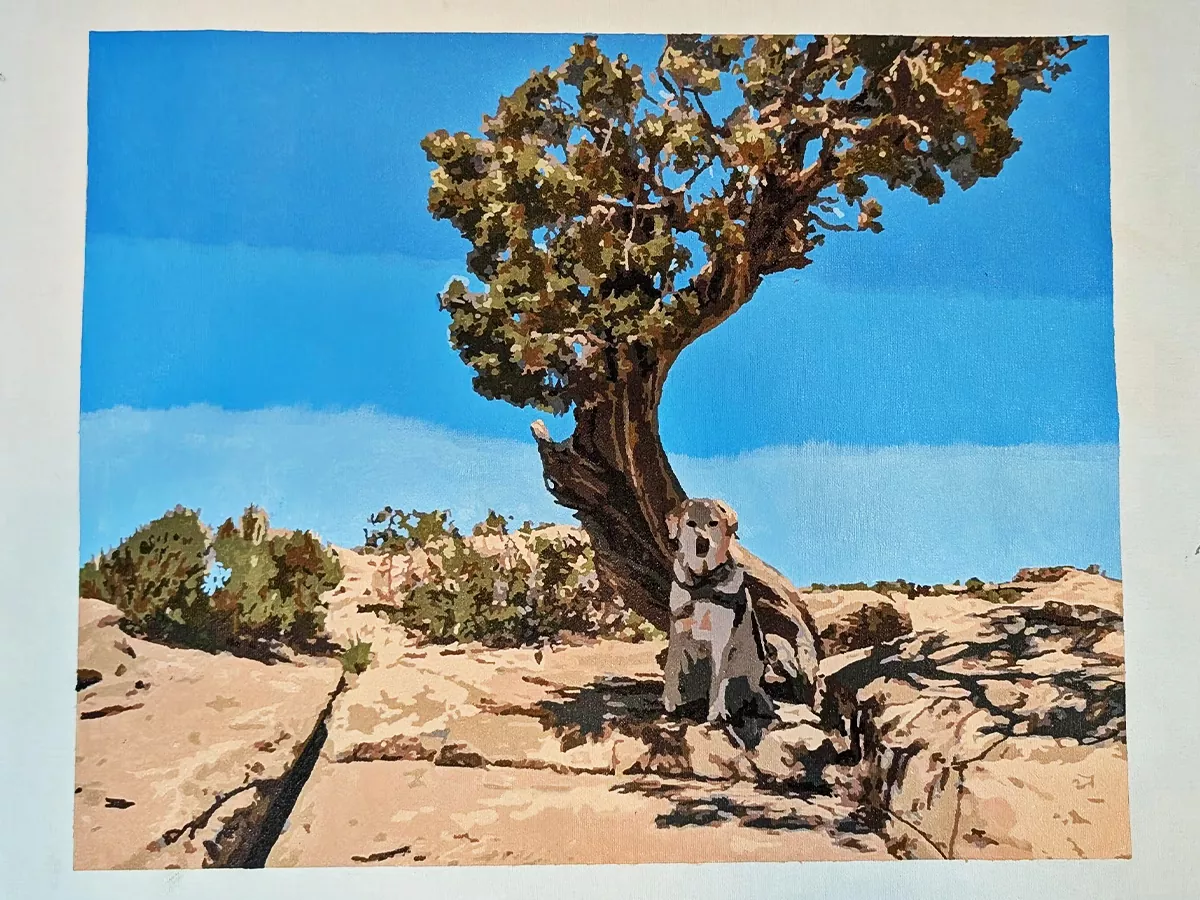 custom landscape review 6