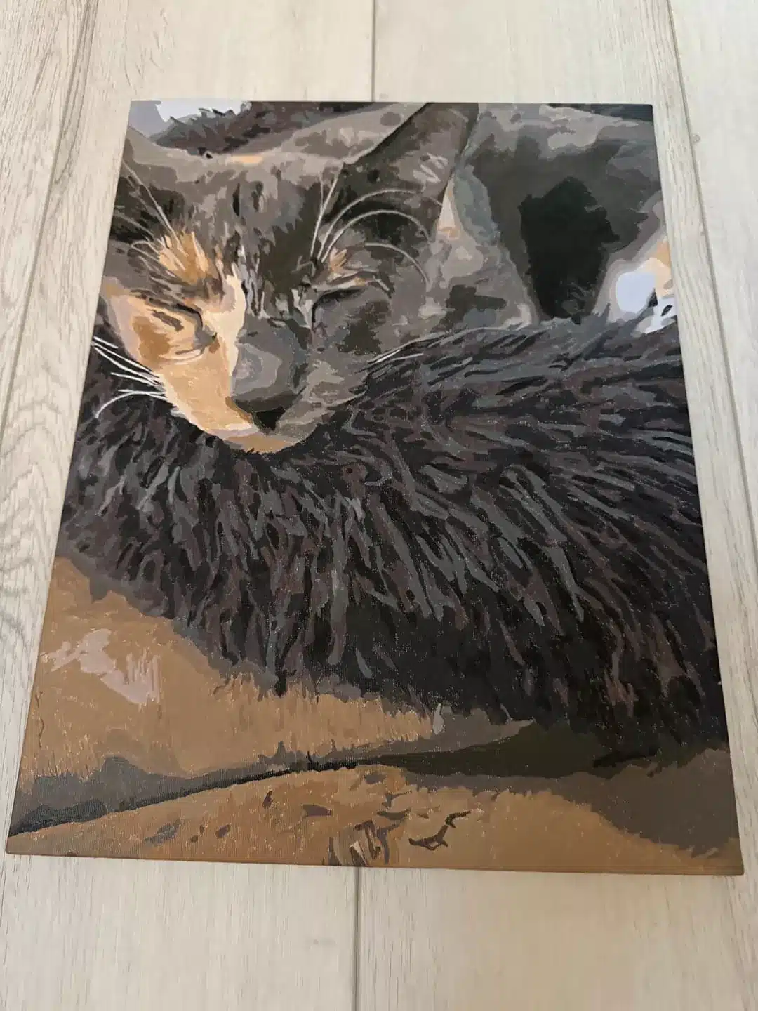 custom pet cat review