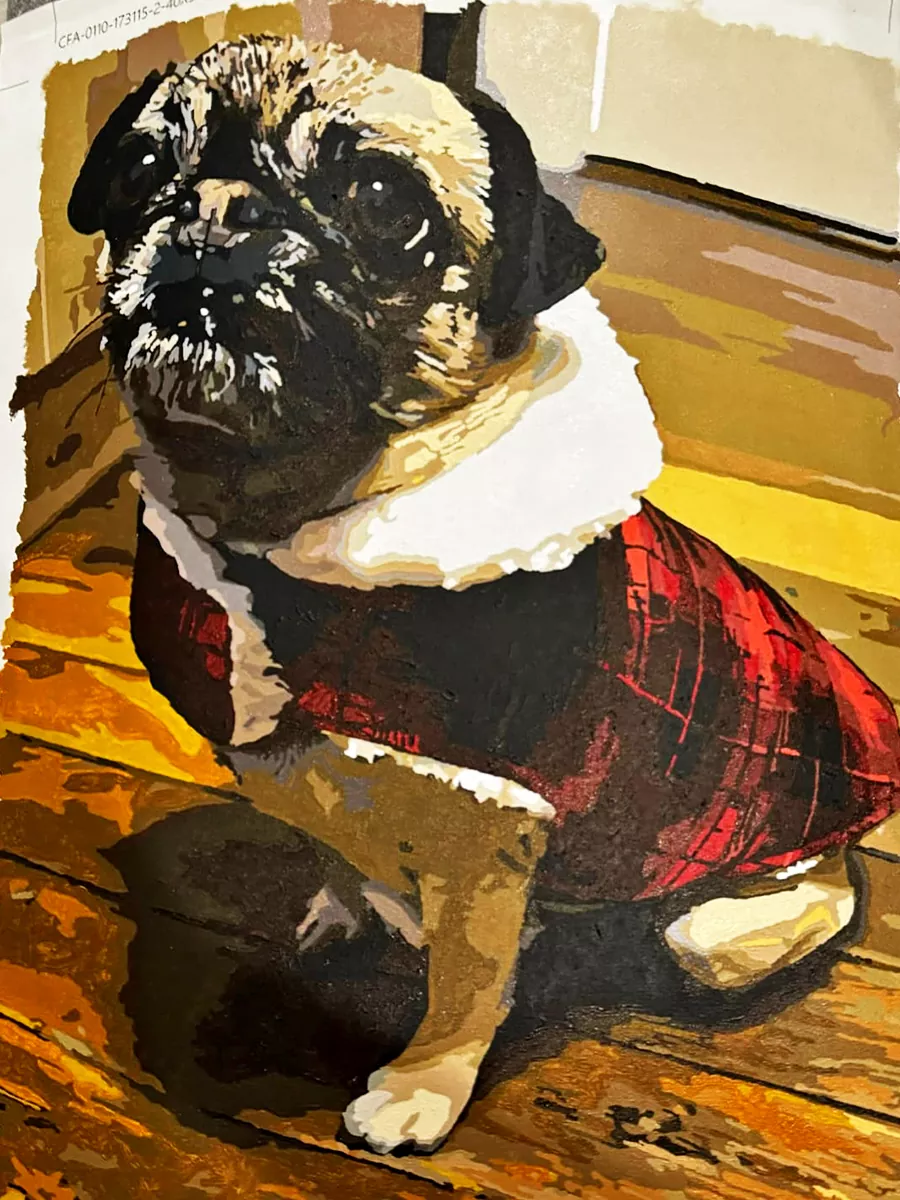 custom pet review 7