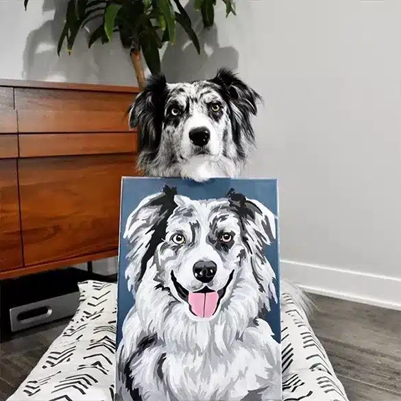 cute custom pet review