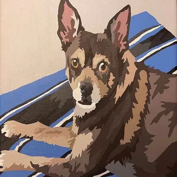 dogs review custom pet