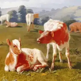 Calves In a Meadow Briton Rivière Paint by Numbers 