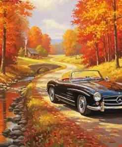 Classic Black Car Paint by Numbers