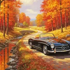 Classic Black Car Paint by Numbers 