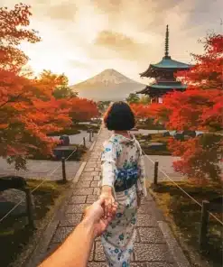 Follow Me To Japan Paint by Numbers