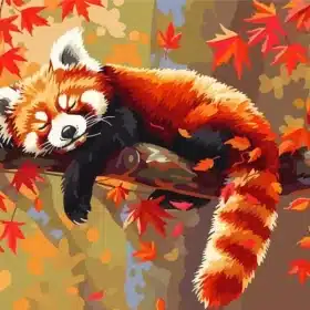 Relaxed Red Panda Paint by Numbers