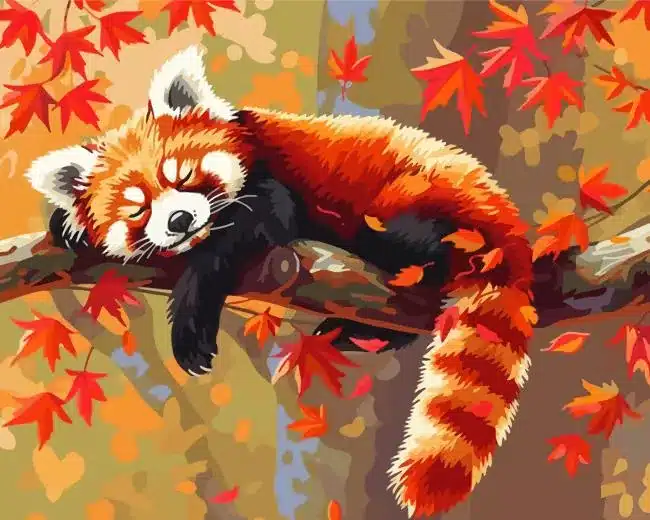 Relaxed Red Panda Paint by Numbers