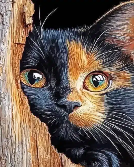 Golden Black Cat Paint By Numbers