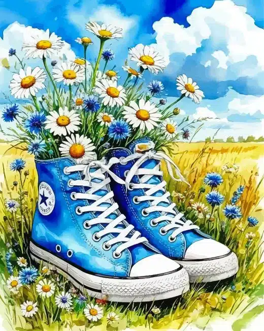Blue Shoes Paint By Numbers