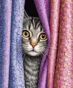 Curtain Cat Paint By Numbers