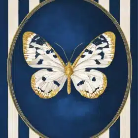 Butterfly Art Paint By Numbers