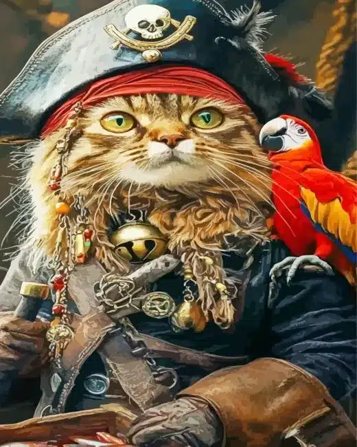 Cool Pirate Cat Paint By Numbers