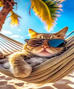 Cool Cat Paint By Numbers