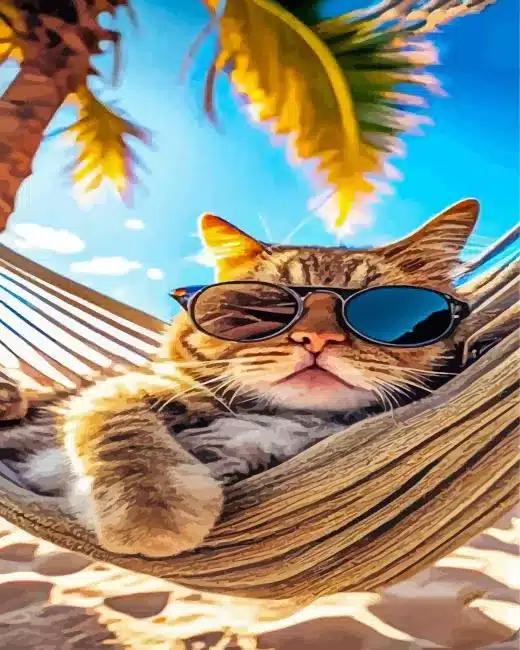 Cool Cat Paint By Numbers