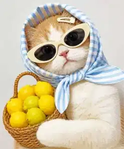 Lemon Cat Paint By Numbers