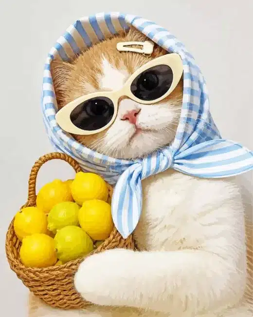 Lemon Cat Paint By Numbers