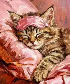 Sleepy Cat Paint By Numbers