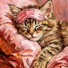 Sleepy Cat Paint By Numbers
